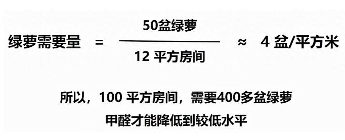 公司用綠蘿除甲醛，到底靠不靠譜？